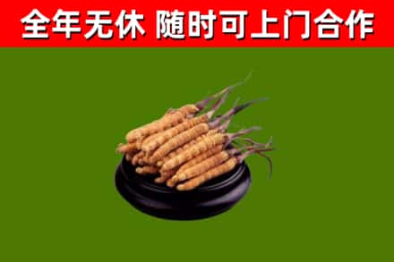 东昌府区烟酒回收冬虫夏草.jpg